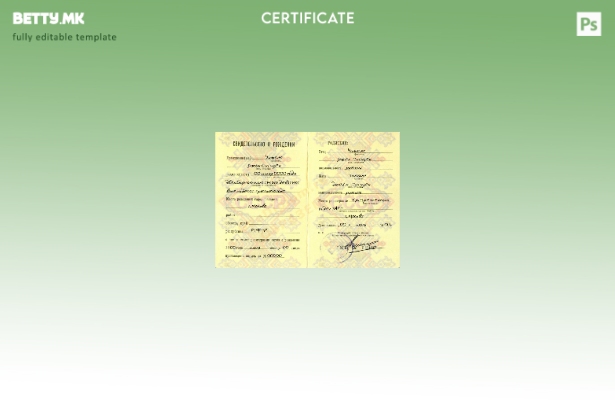 Шаблон извод од матична книга на родените во модерен стил Русија (Свидетельство 